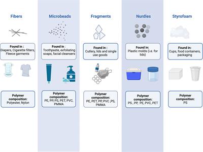 Microplastics exposure: implications for human fertility, pregnancy and child health
